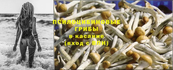 метадон Приозерск