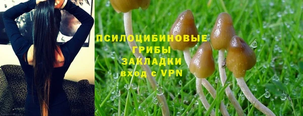 метадон Приозерск