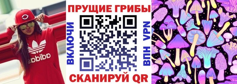 Псилоцибиновые грибы мицелий  купить наркотик  Козьмодемьянск 
