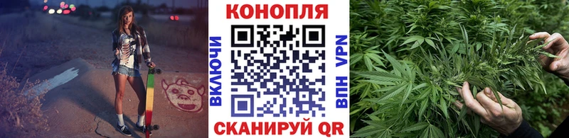 даркнет телеграм  Козьмодемьянск  Бошки марихуана SATIVA & INDICA 